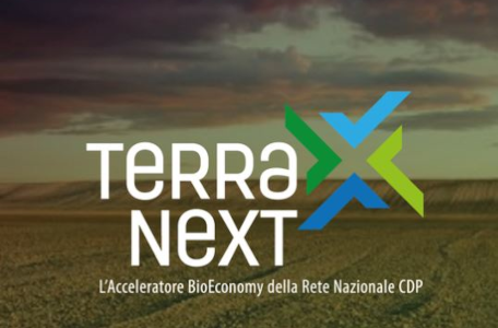 Terra Next